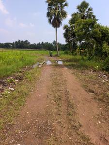 Image of 1440 Sq.ft Residential Plot / Land for sale in Natures Paradise, Joka, Kolkata for Rs. 449998