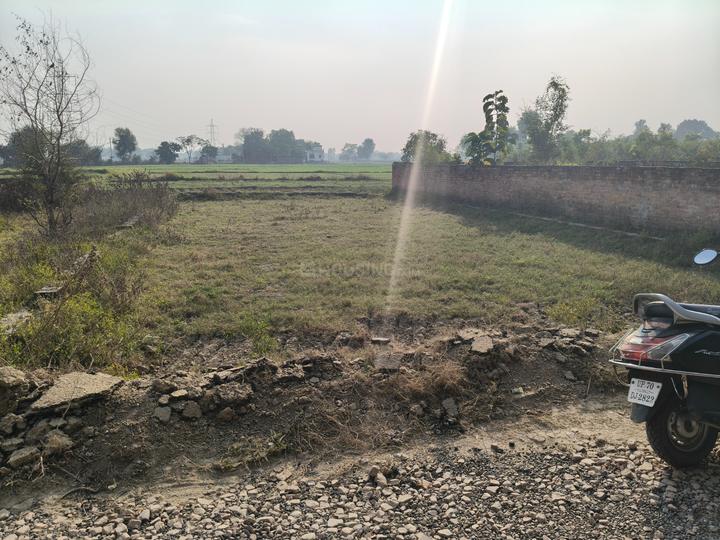 Umaraha Main Image 1