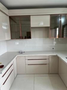 Kitchen Image of 1435 Sq.ft 3 BHK Apartment / Flat for rent in Devalaya Divya, Bagmugaliya Bhopal for Rs. 25000