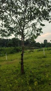 Image of 4500 Sq.ft Residential Plot / Land for sale in Karjat, Thane for Rs. 5000000