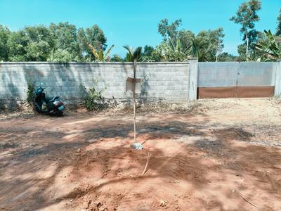 Image of 3829 Sq.ft Residential Plot / Land for sale in Asaripallam, Nagercoil for Rs. 8000000
