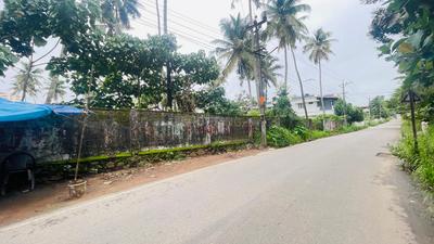 Kunnathery Thikavu Plot View 1