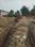 Roza Jalalpur Village, Noida Extension Plot View 2