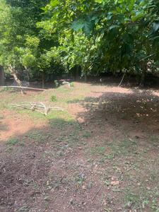 Image of 35000 Sq.ft Residential Plot / Land for sale in Mala, Thrissur for Rs. 9900000