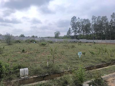 Image of 1000 Sq.ft Residential Plot / Land for sale in Hoskote, Bengaluru for Rs. 2850100