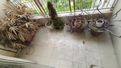 Balcony Image of 1220 Sq.ft 3 BHK Apartment / Flat for sale in Gulshan Vivante, Sector 137 Noida for Rs. 16500000
