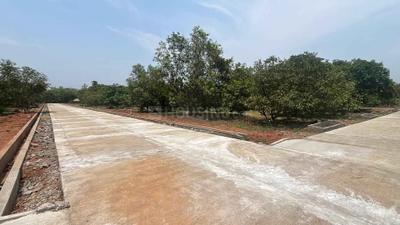SRI MANGO RESORT Plot View 1