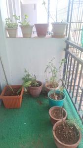 Balcony Image of 1100 Sq.ft 2 BHK Apartment / Flat for rent in Vivek Marvel, Nehru Nagar Bengaluru for Rs. 20000