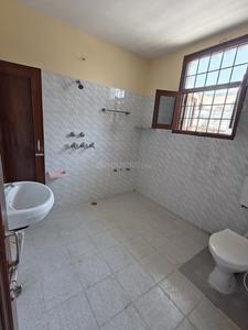 Bathroom Image of 2250 Sq.ft 3 BHK Builder Floor for rent in Sector 59 Mohali for Rs. 32000