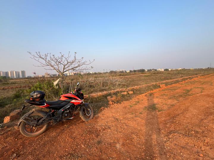 Patrapoda Main Image 1