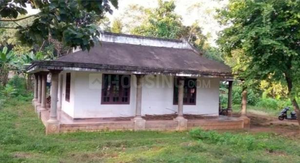 Panthalam Main Image 1