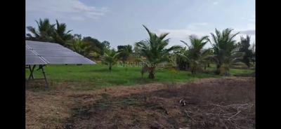 Image of 21780 Sq.ft Residential Plot / Land for sale in Kadappakkam, Chengalpattu, Chennai for Rs. 3750000
