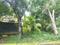 Independent plot 16 Plot View 2