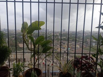 Balcony Image of 650 Sq.ft 1 BHK Apartment / Flat for sale in Ulhasnagar Thane for Rs. 4500000