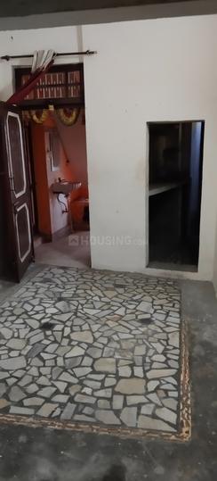 Ambphalla Main Image 1