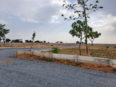 Image of 1000 Sq.ft Residential Plot / Land for sale in Safa, Jhansi for Rs. 700000