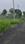 Ratibad Plot View 2