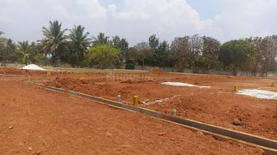 Shri Krishna Oasis Plot View 3