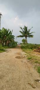 Residential Plot