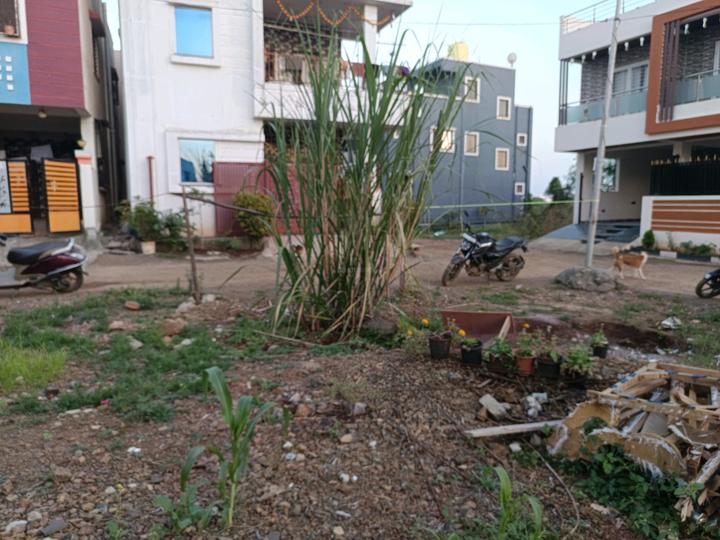 Shewalewadi Main Image 1