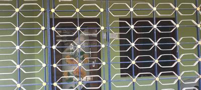 Balcony Image of 550 Sq.ft 1 BHK Independent House for sale in Zakir Hussain Nagar Nellore for Rs. 2500000