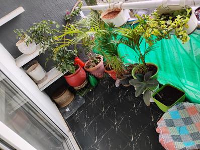 Balcony Image of 1180 Sq.ft 2 BHK Apartment / Flat for sale in SLV Magnum, Bommanahalli Bengaluru for Rs. 12500000