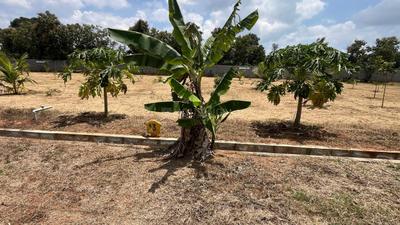 Image of 6007 Sq.ft Residential Plot / Land for sale in Hunsur, Mysore for Rs. 3640000