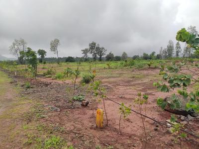 Trimbak Plot View 2