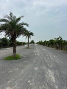 Image of 7000 Sq.ft Residential Plot / Land for sale in Chhachhanpairi, Raipur for Rs. 7700000