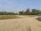 Anaura  Plot View 2