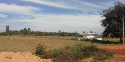 Devanahalli Plot View 2