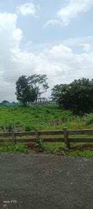 Image of 2669 Sq.ft Residential Plot / Land for sale in Karjat, Thane for Rs. 4003500