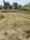 Semra Main Image 1
