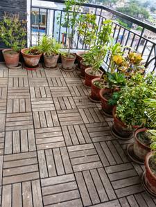 Balcony Image of 3600 Sq.ft 4 BHK Apartment / Flat for sale in Beliaghata Kolkata for Rs. 49900000