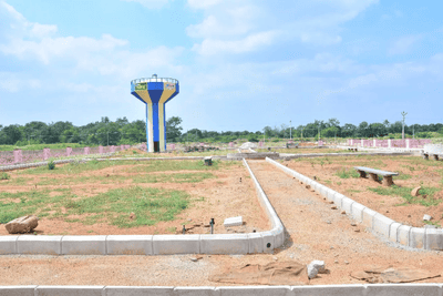 TMR Golden Habitat Plot View 2