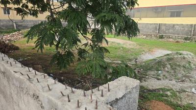 Brindavan Colony Plot View 3