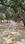 Tendava Main Image 1