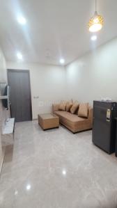 Hall Image of 850 Sq.ft 1 BHK Builder Floor for rent in Sector 14 Gurgaon for Rs. 33000