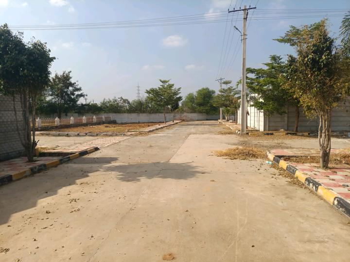 Golden City Main Image 1