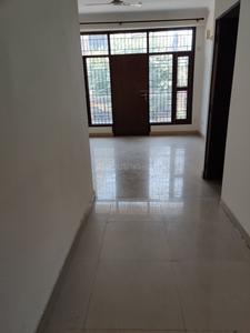 Hall Image of 1300 Sq.ft 2 BHK Builder Floor for rent in Sector 46 Noida for Rs. 30000