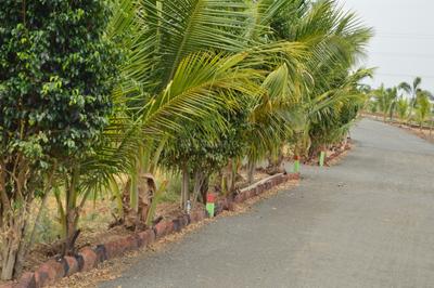 Image of 1000 Sq.ft Residential Plot / Land for sale in Wadegaon, Pune for Rs. 1200000