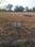 Bagepalli Plot View 2