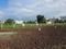 Wagholi Plot View 2
