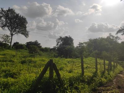 Image of 87120 Sq.ft Residential Plot / Land for sale in Murbad, Thane for Rs. 7600000