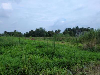 Nest Valley Main Image 1