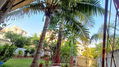Image of 3500 Sq.ft 5 BHK Villa for sale in Vasna, Vadodara for Rs. 27500000