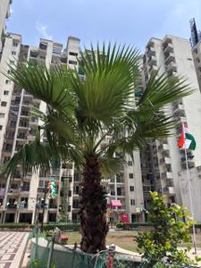 Image of 920 Sq.ft 2 BHK Apartment / Flat for sale in Sethi Max Royal, Sector 76, Noida for Rs. 10200000