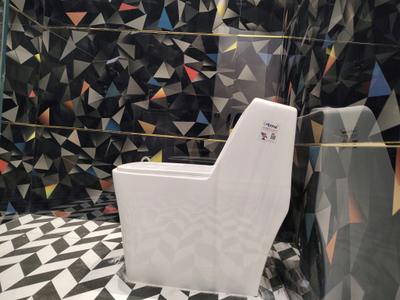 Common Bathroom Image of 600 Sq.ft 1 BHK Independent House for rent in Indirapuram Ghaziabad for Rs. 15000