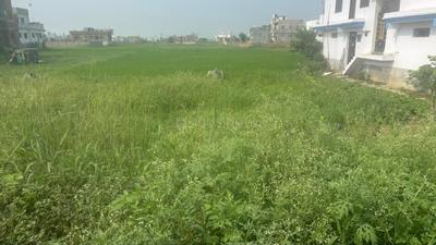 Image of 4083 Sq.ft Residential Plot / Land for sale in Phulwari Sharif, Patna for Rs. 24000000