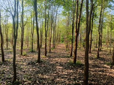 Image of 200 Sq.ft Residential Plot / Land for sale in Bhogapuram, Visakhapatnam for Rs. 1300000